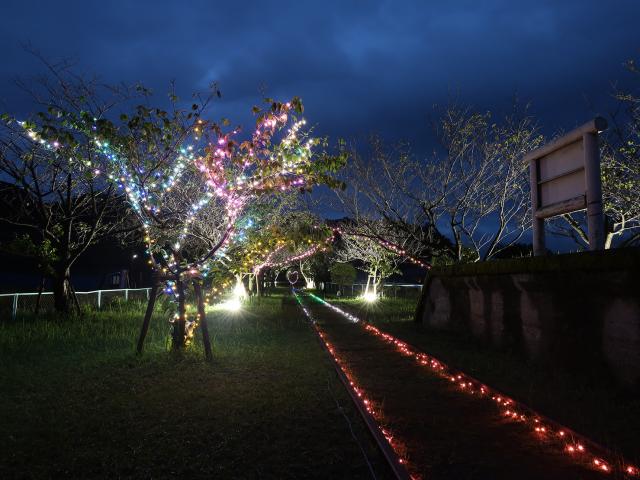 優しい明かりに照らされて新城鉄道記念公園でライトアップ