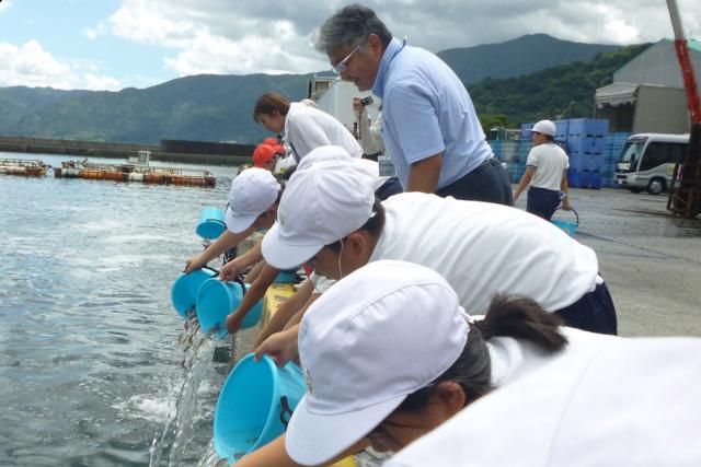 松ケ崎小学校・牛根小学校児童たちがマダイを放流