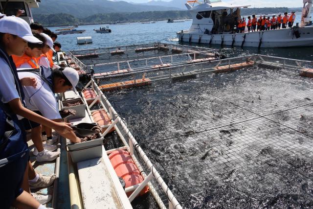 ふるさとの良さを知る貴重な体験