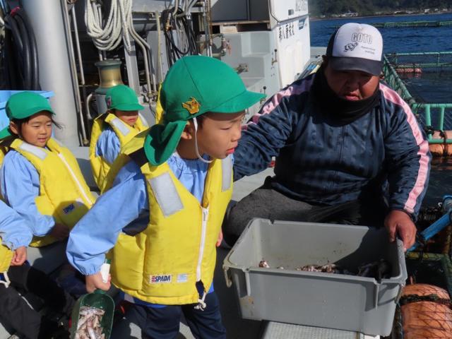 ふるさとの魅力を知って学ぶ市内園児たちが漁業体験