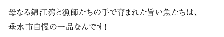 母なる錦江湾と漁師たちの手で育まれた旨い魚たちは、垂水市自慢の一品なんです！