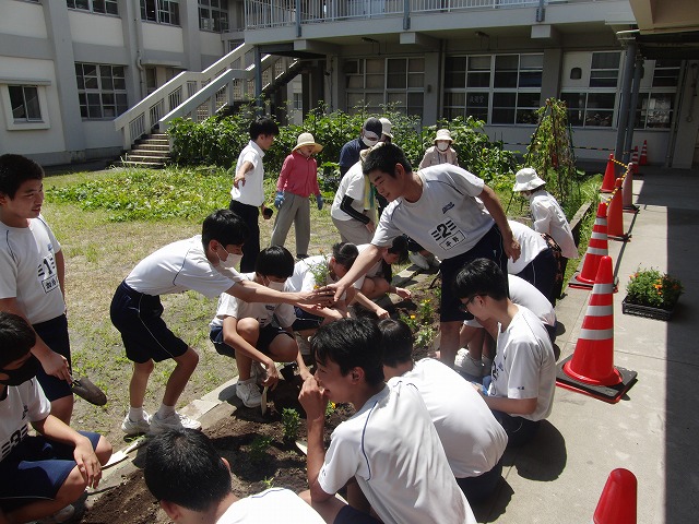 0710hanaue